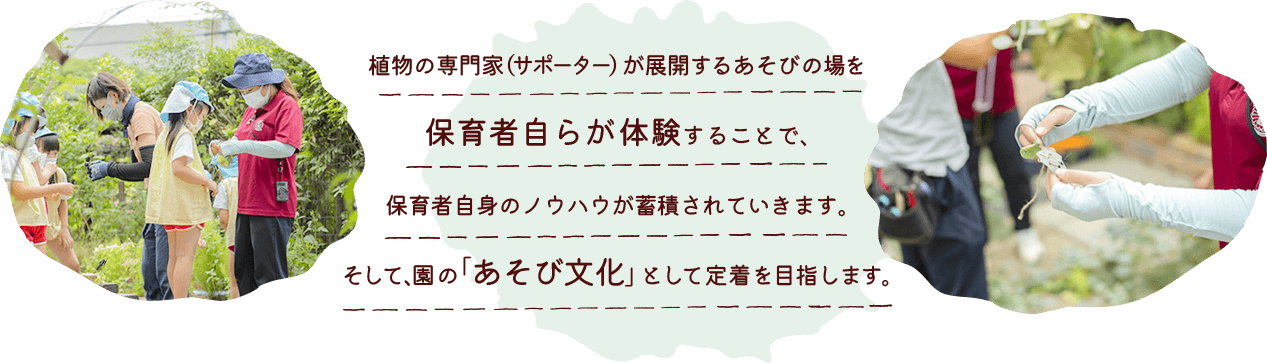 植物の専門家（サポーター）が展開するあそびの場を、保育者自らが体験することで、保育者自身のノウハウが蓄積されていきます。そして、園の「あそび文化」として定着を目指します。