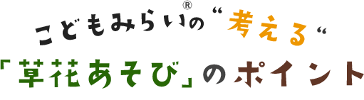 こどもみらいの考える「草花あそび」のポイント