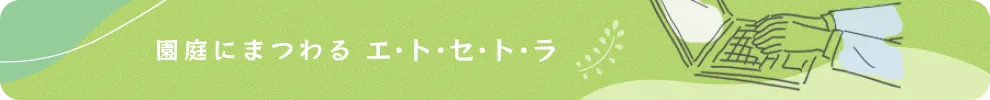 こどもみらいブログ