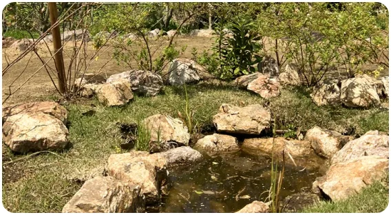 袖ヶ浦桜ヶ丘幼稚園 園庭施工実績