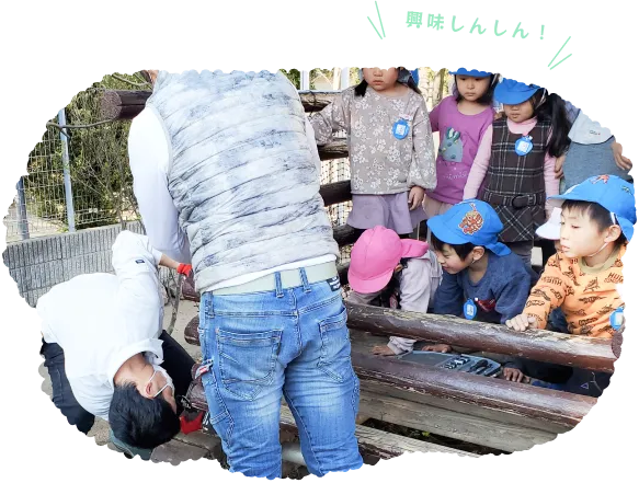 興味しんしん